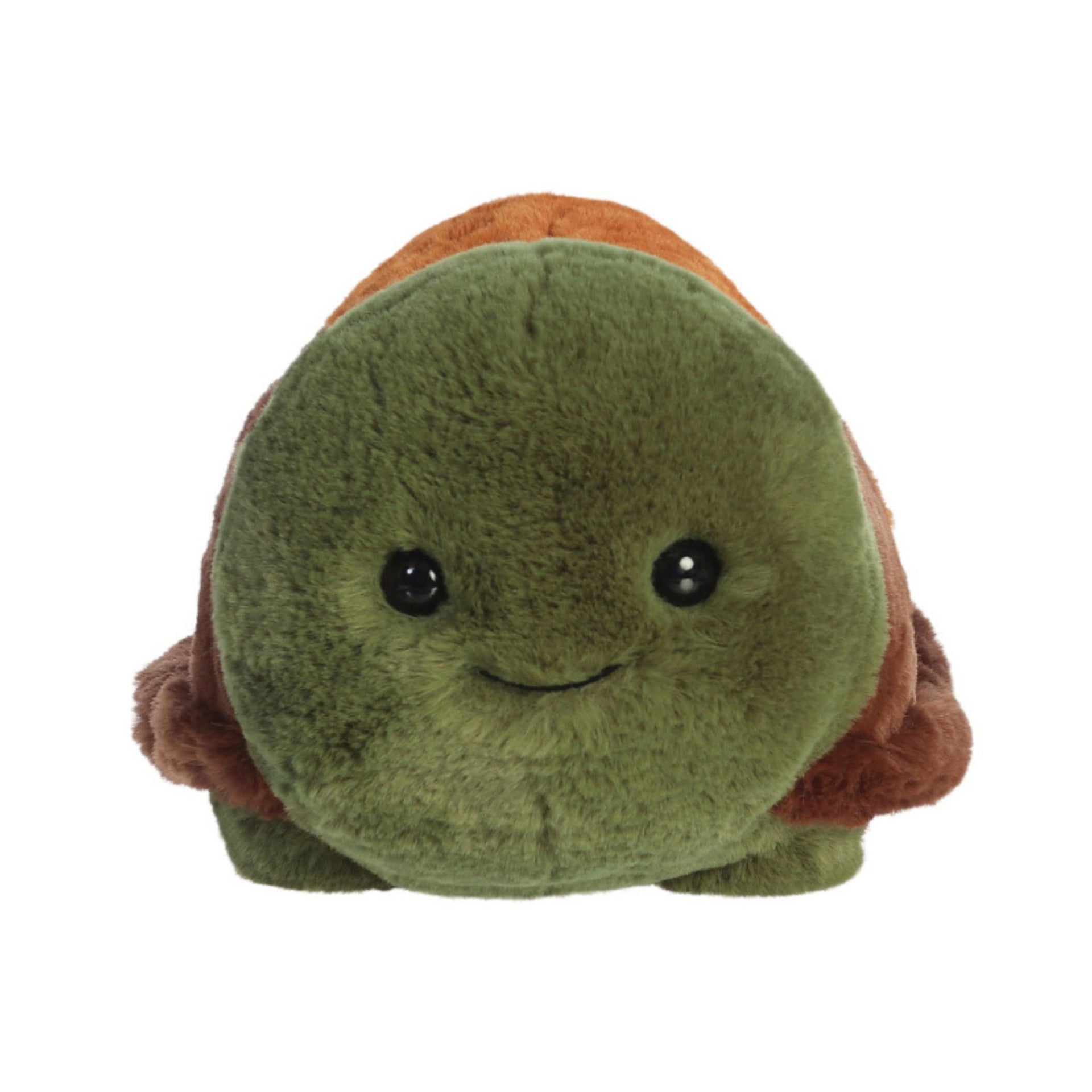 Aurora Spudsters Tony Turtle