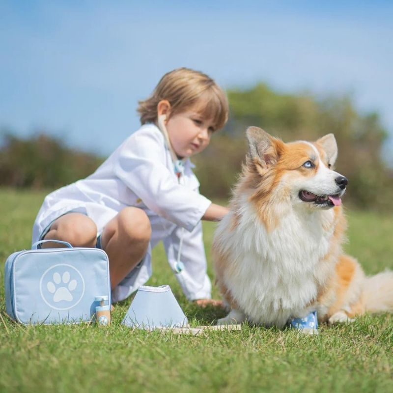 Bigjigs Toys Veterinary Set