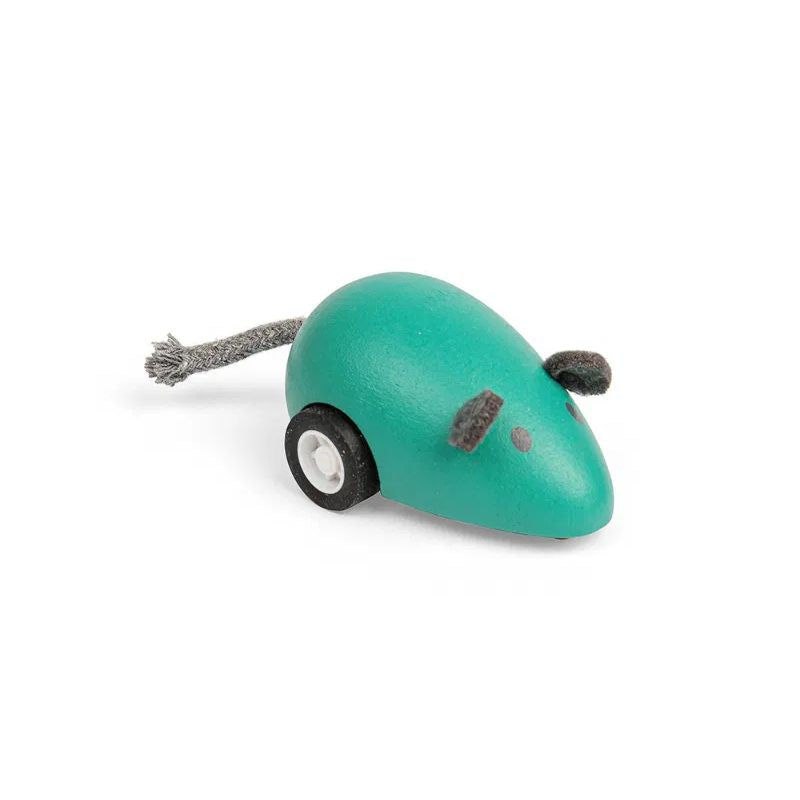 Bigjigs Toys Pull Back Toy