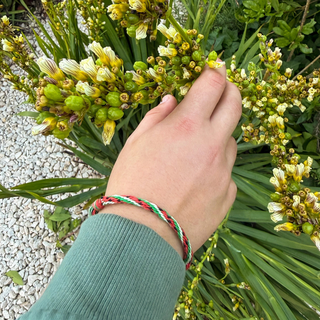 Cotton Twist Make Your Own Watermelon Kumihimo Bracelet Kit