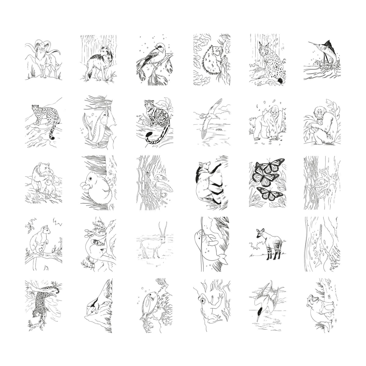 Kidywolf Kidydraw Pad - Animals