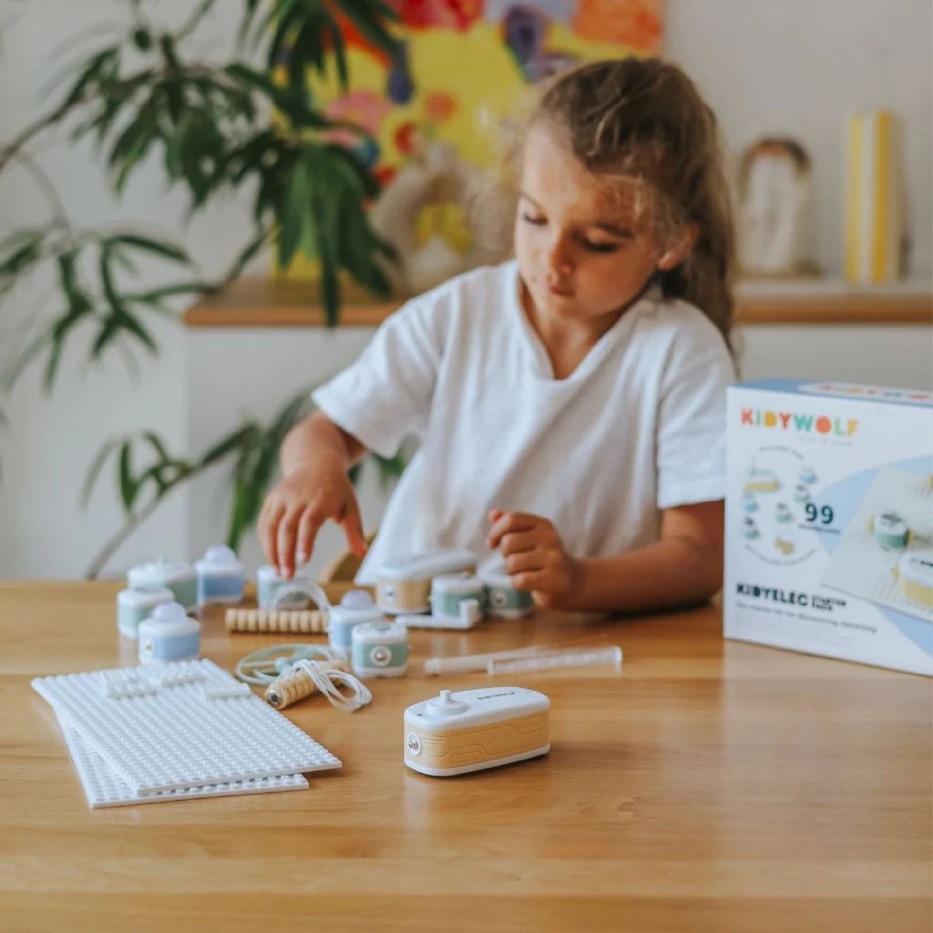 Kidywolf Starter Electricity Kit - 11 piece