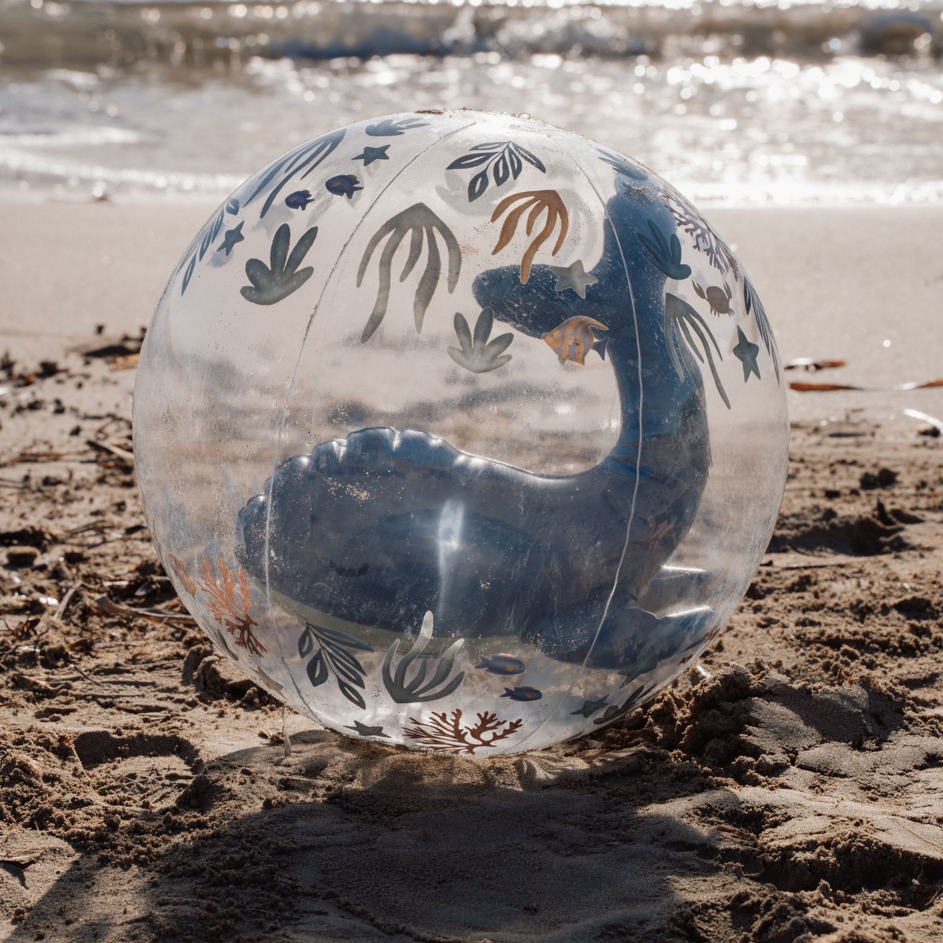 Little Dutch 3D Beach Ball - Ocean World
