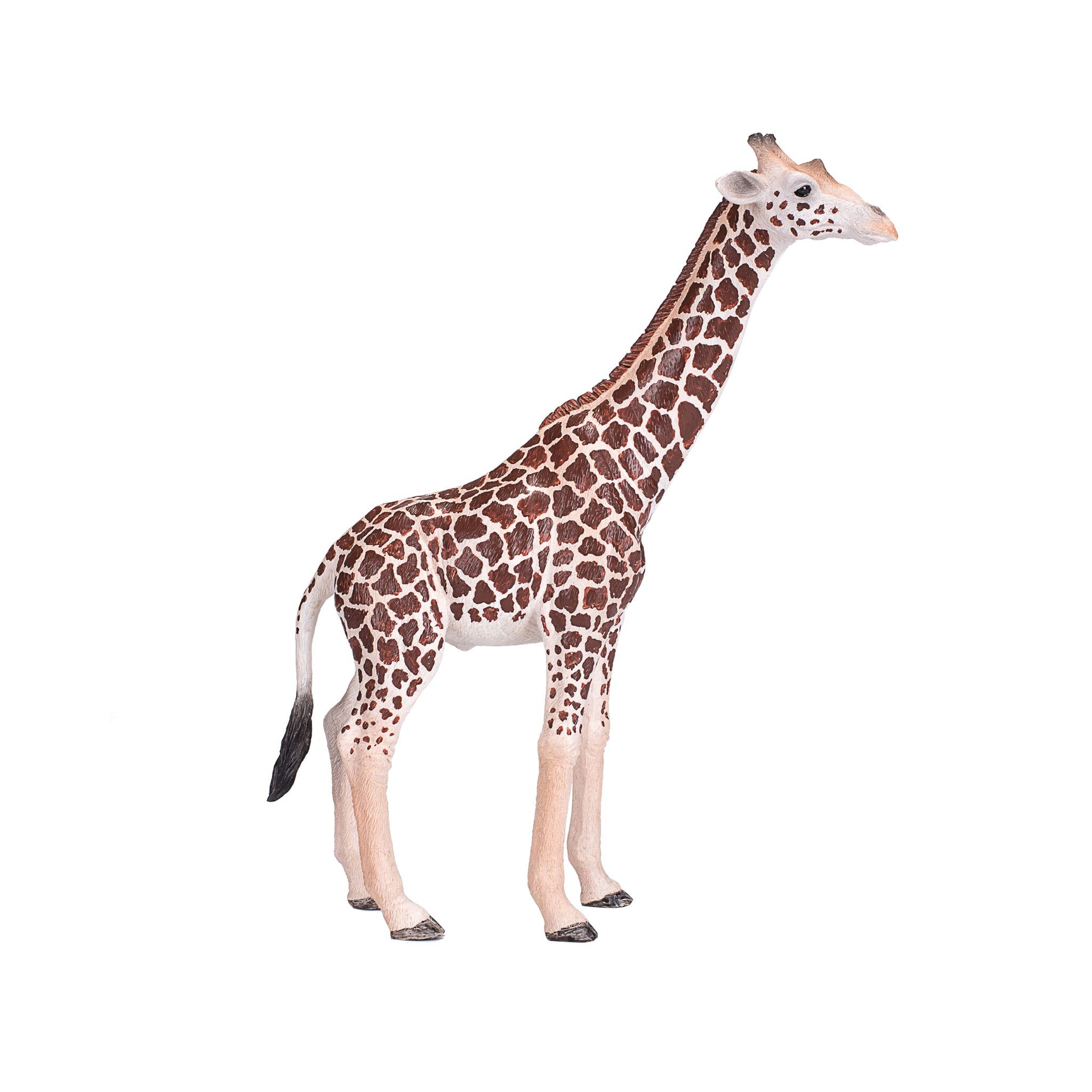 Mojo African Wildlife Animal Set