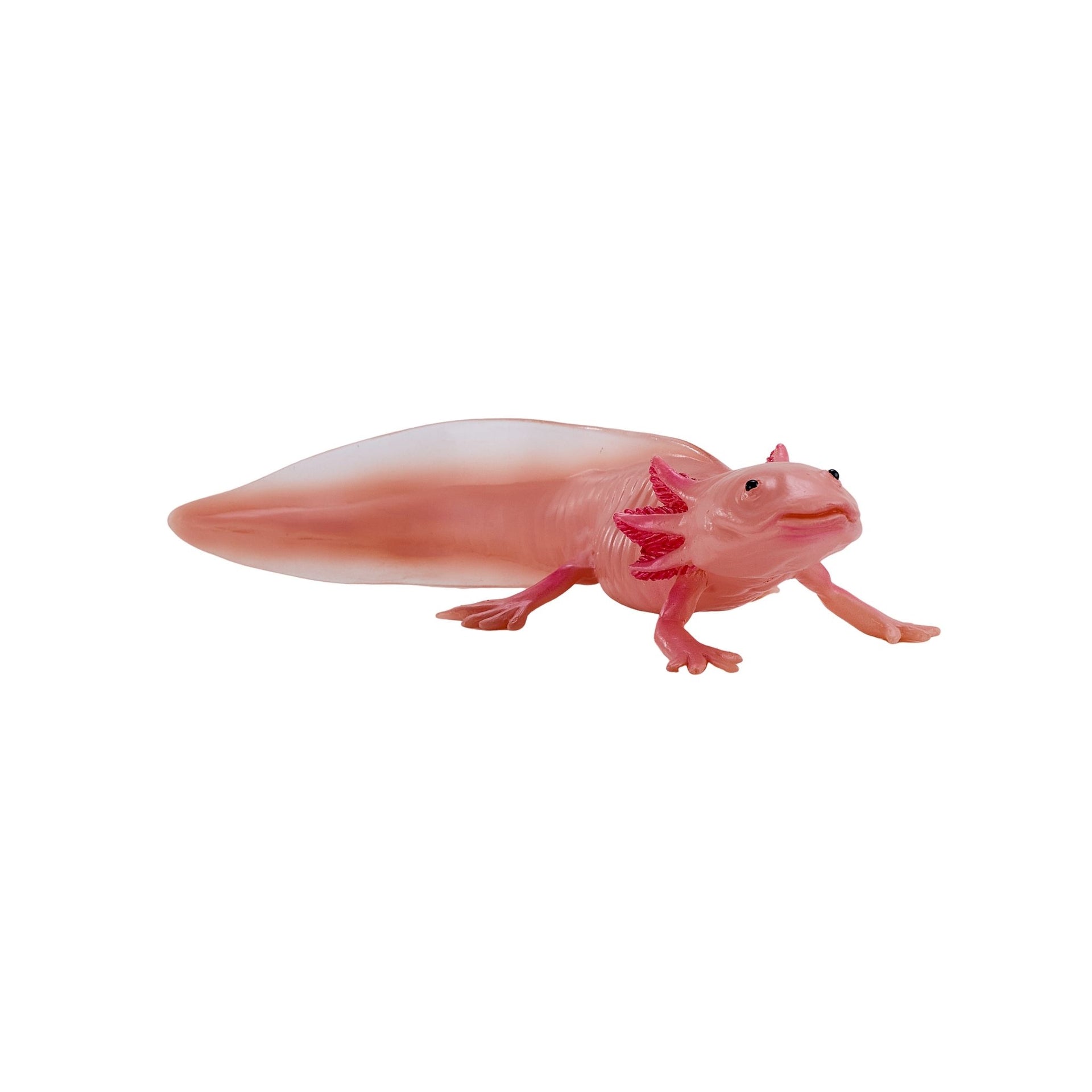 Mojo Axolotl