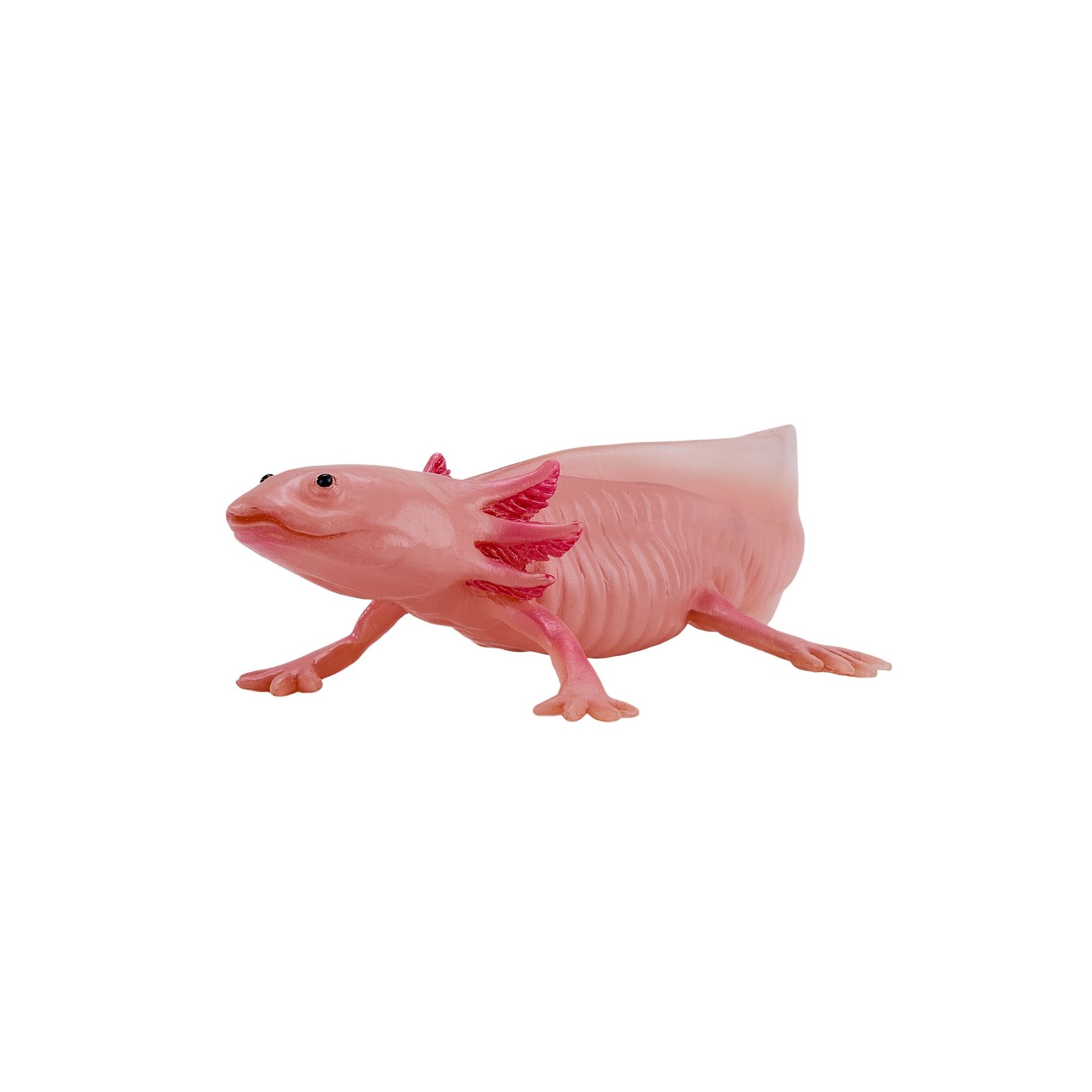 Mojo Axolotl