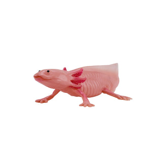 Mojo Axolotl