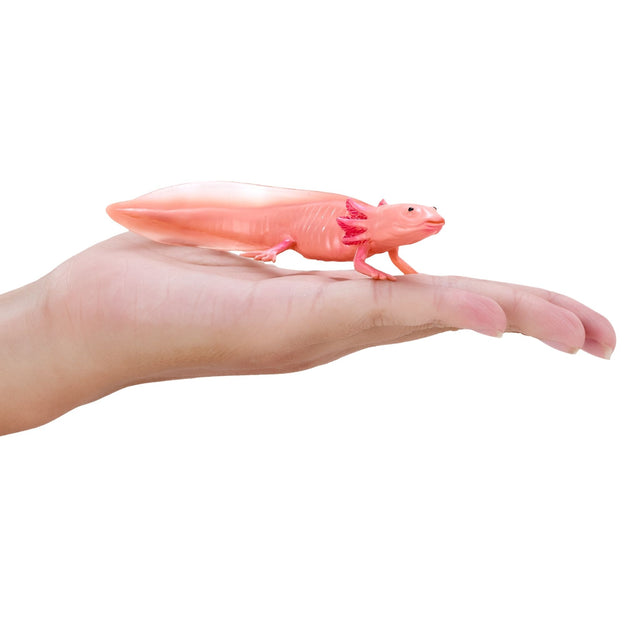 Mojo Axolotl