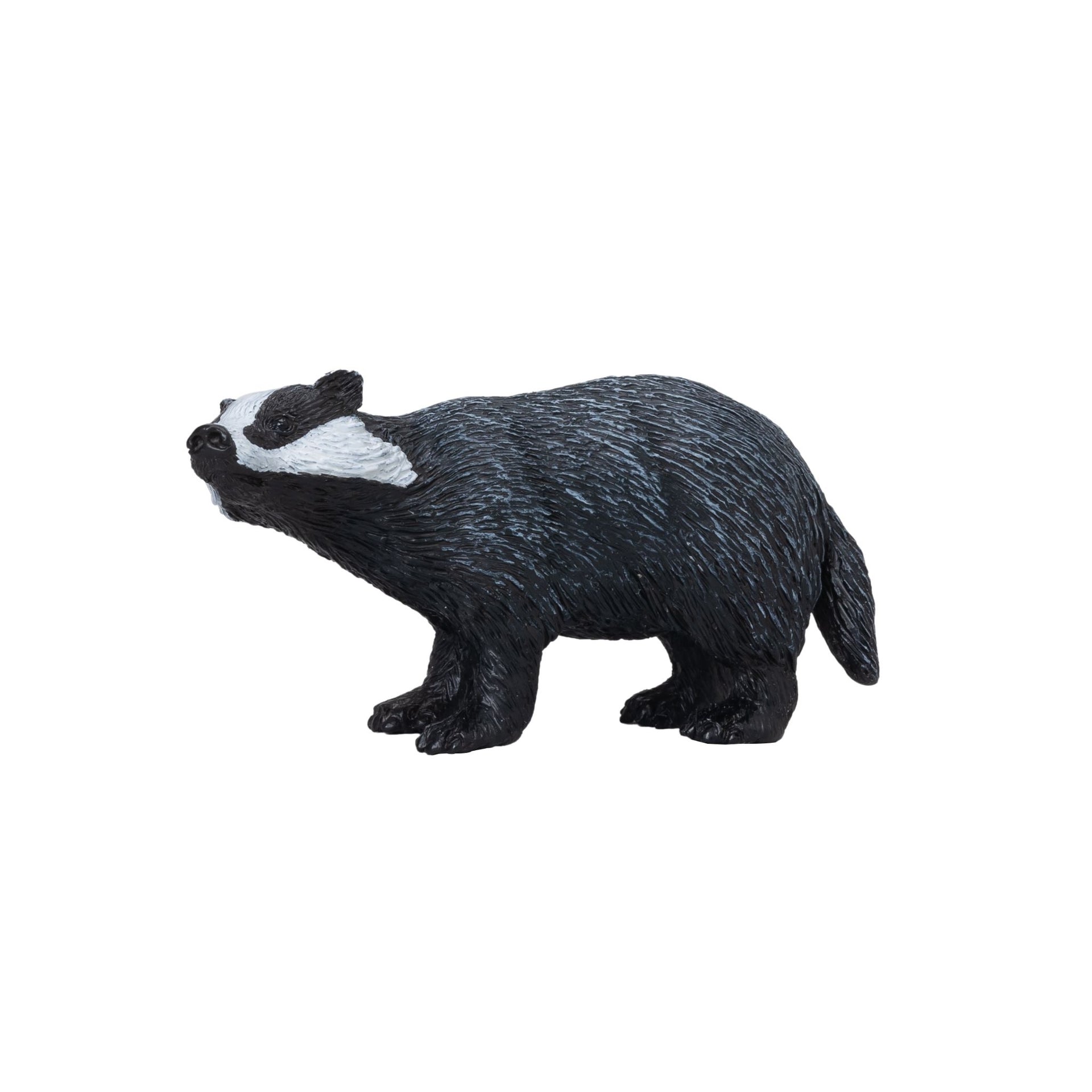 Mojo Badger