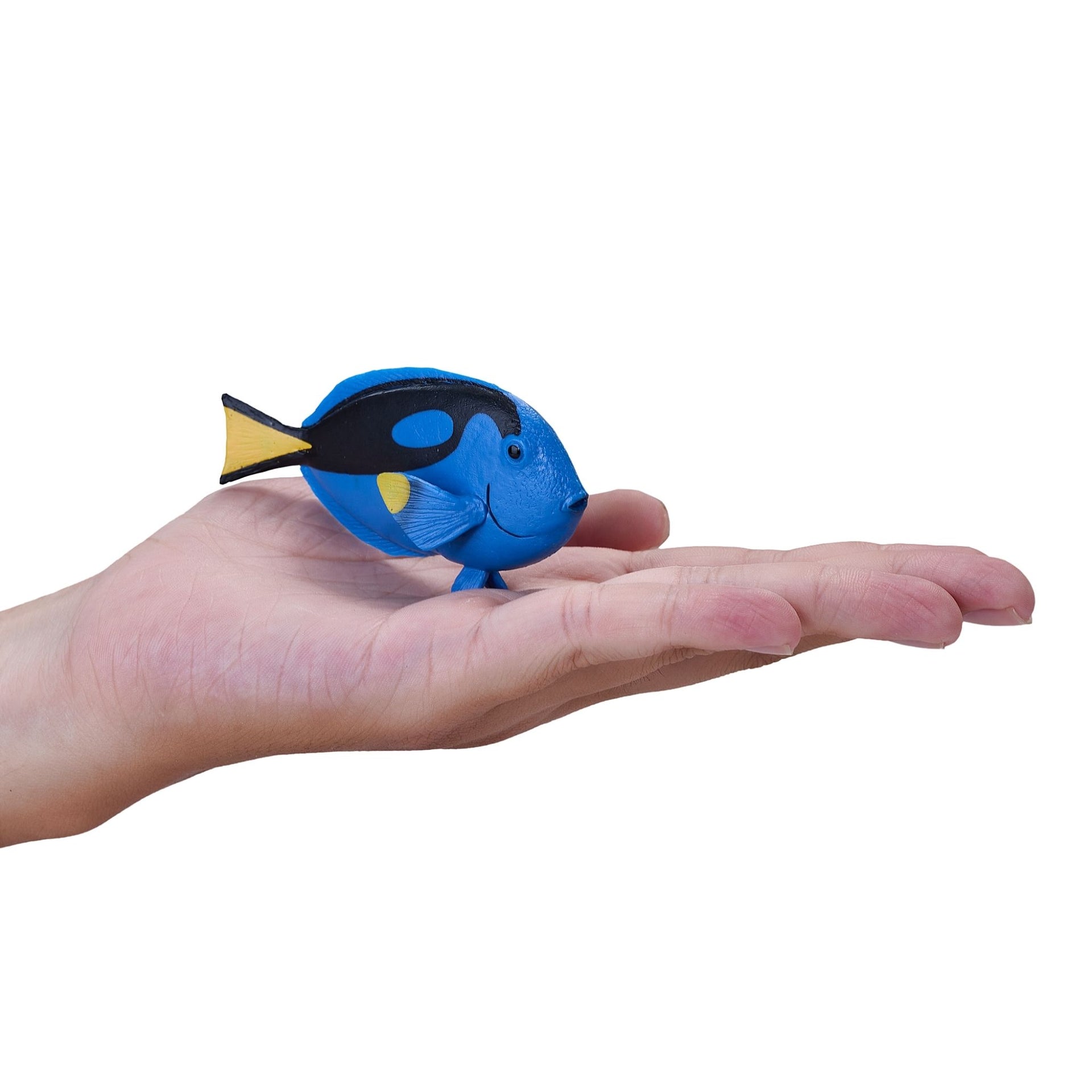 Mojo Blue Tang Fish
