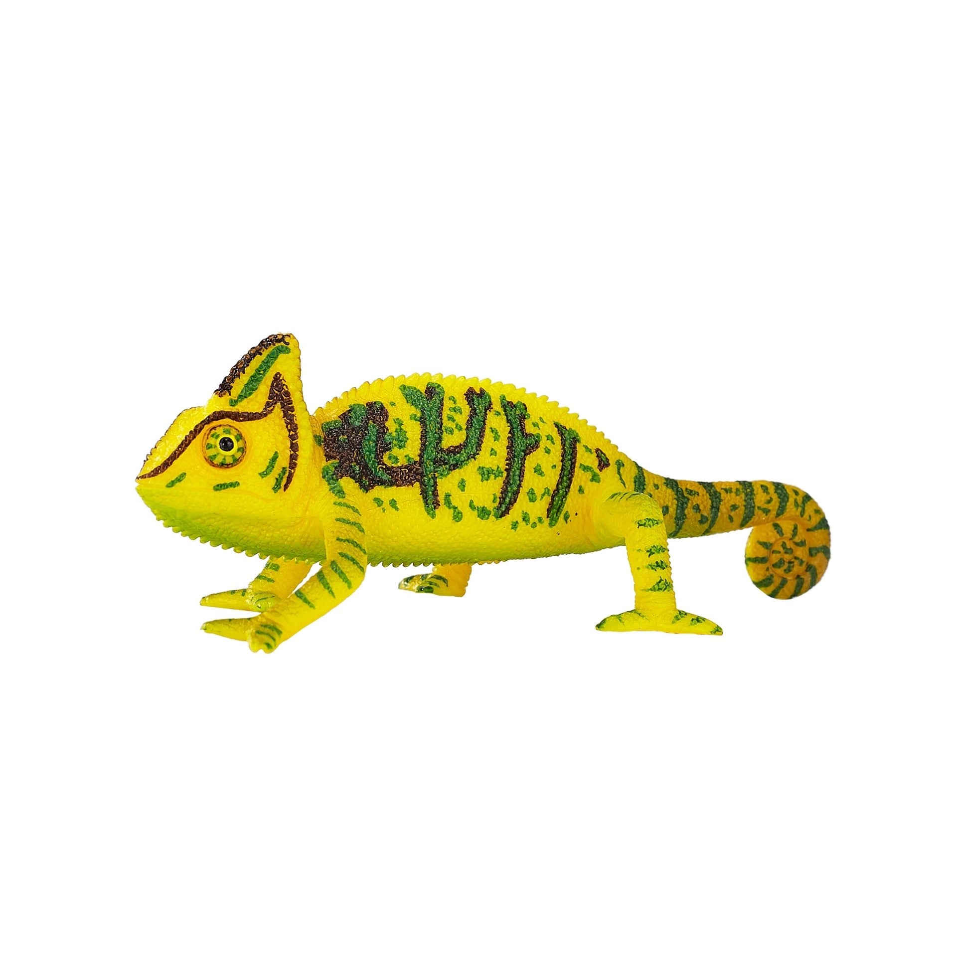 Mojo Chameleon