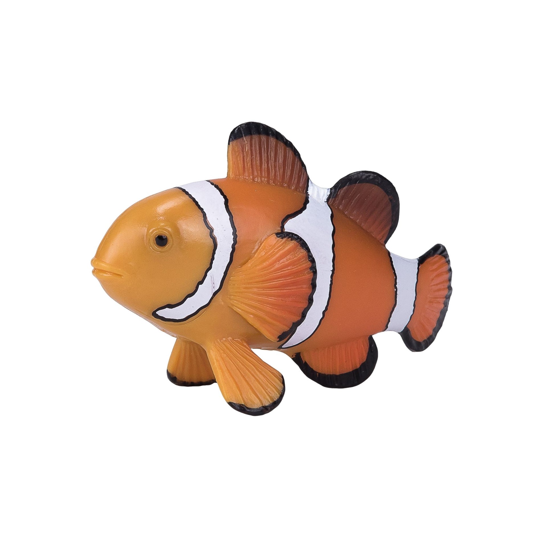 Mojo Clown Fish