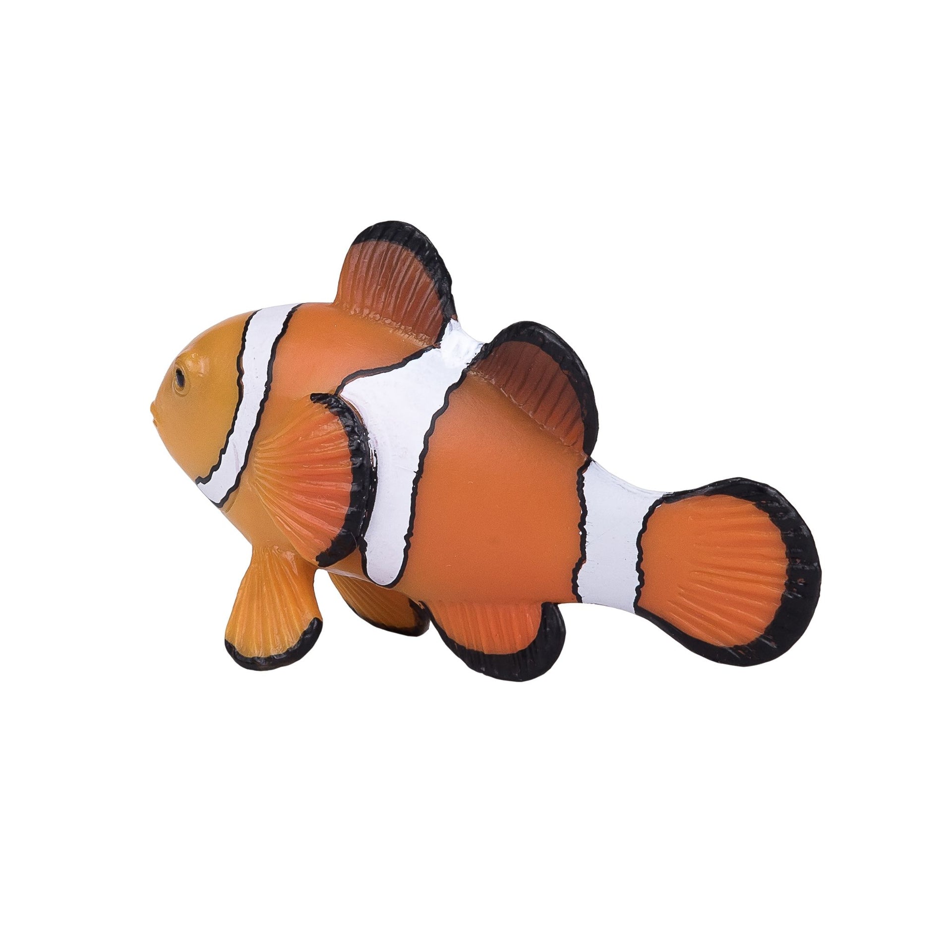 Mojo Clown Fish