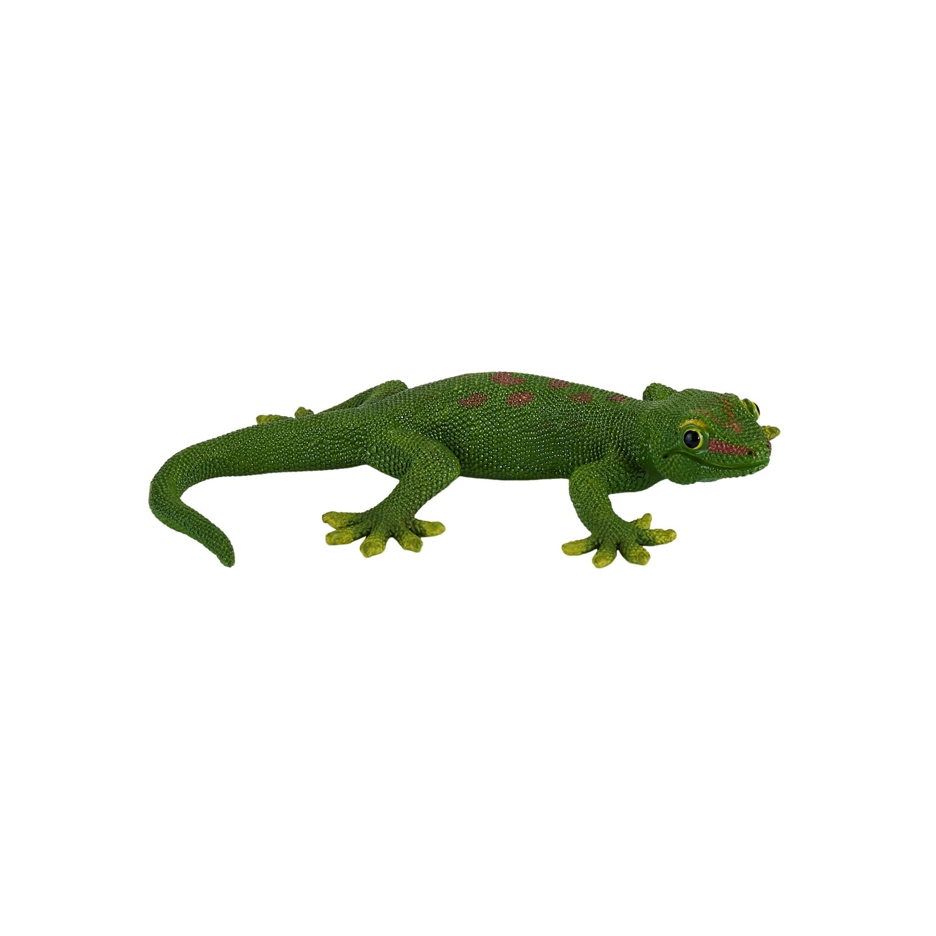 Mojo Gecko
