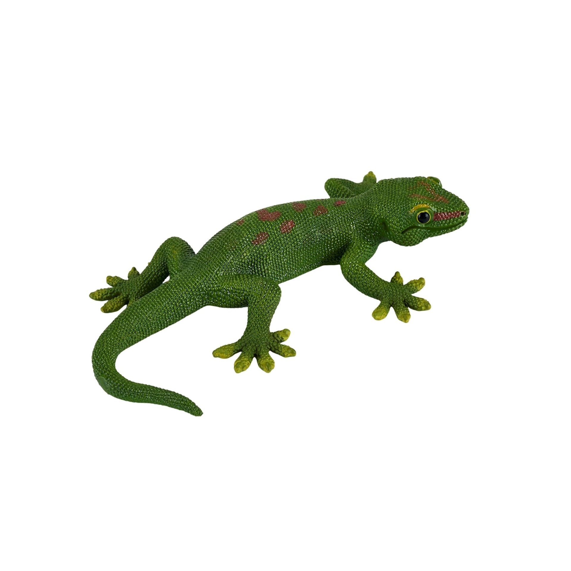 Mojo Gecko