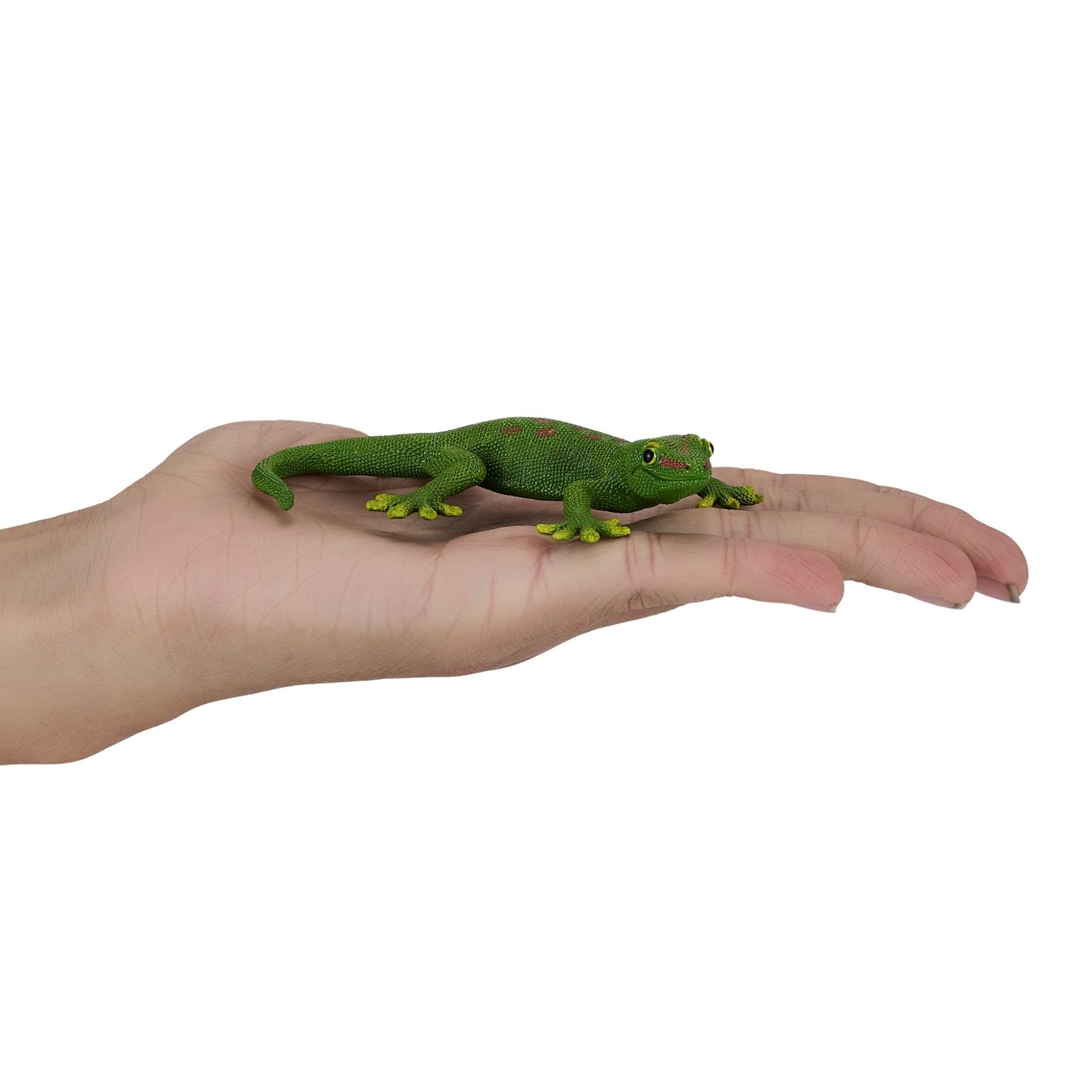 Mojo Gecko