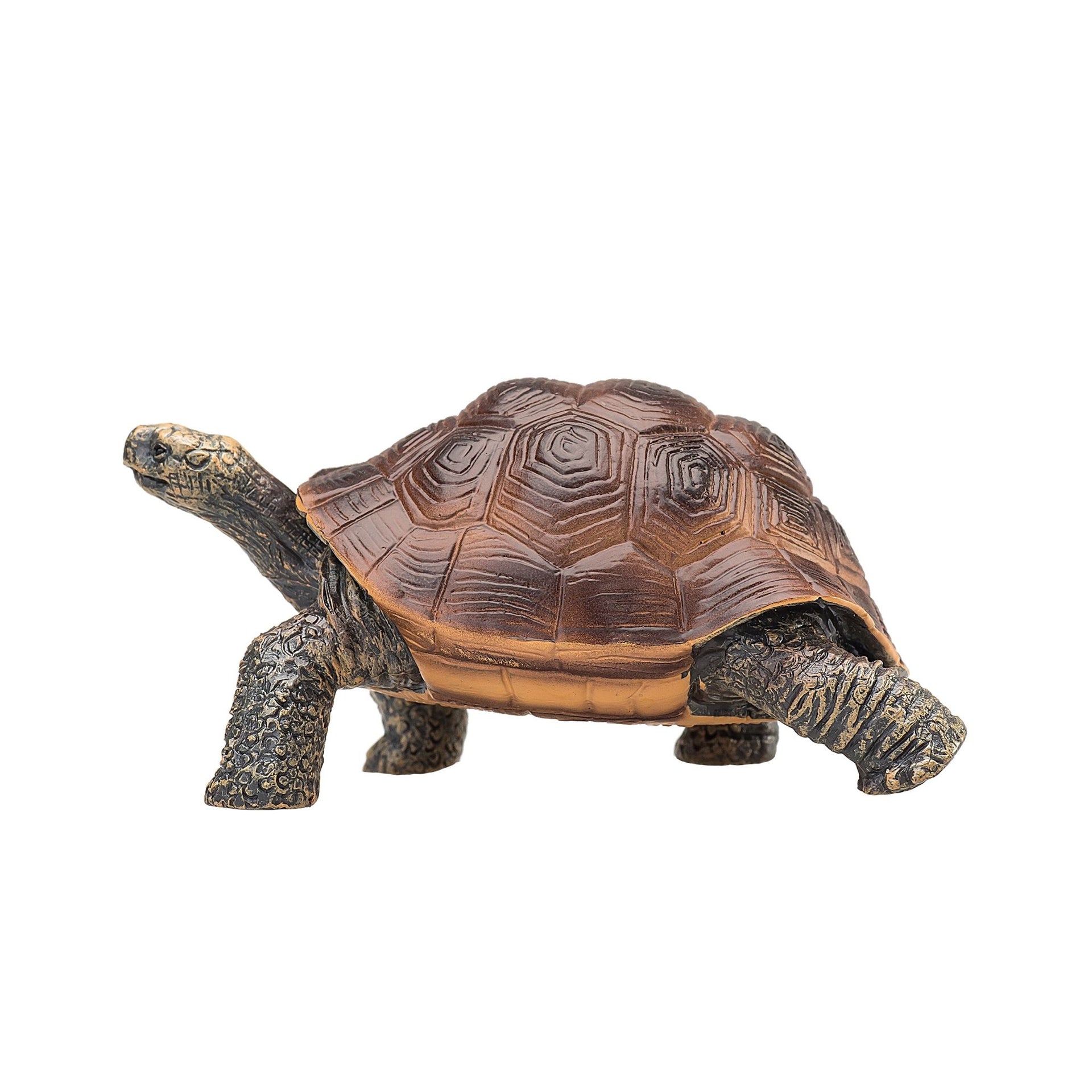Mojo Giant Tortoise