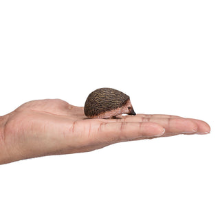 Mojo Hedgehog