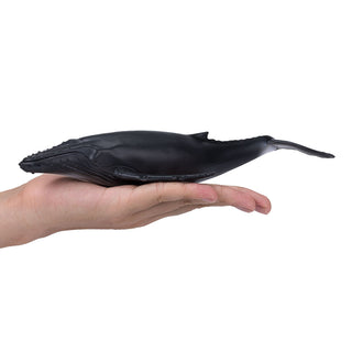 Mojo Humpback Whale