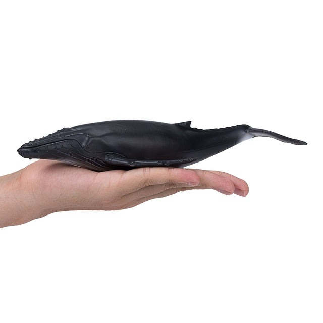 Mojo Humpback Whale