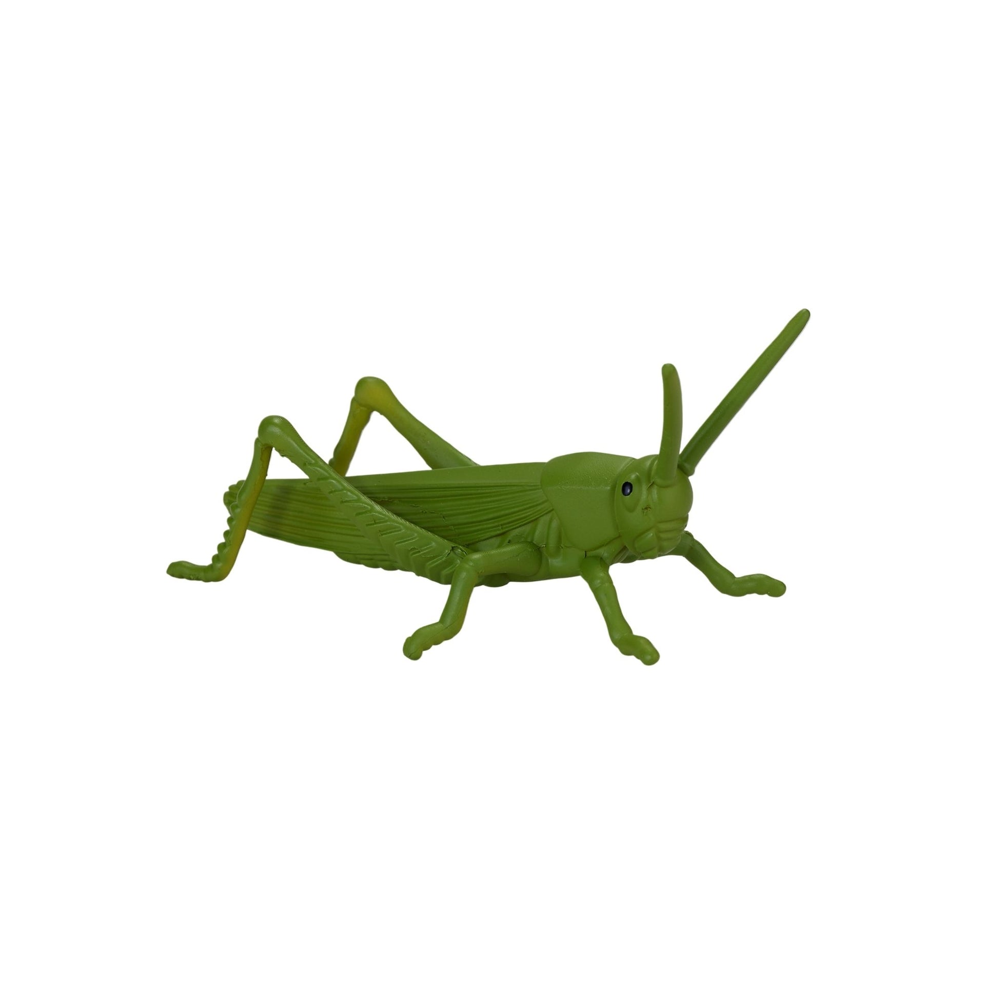 Mojo Mini Insects and Spider Tube - 12 Piece
