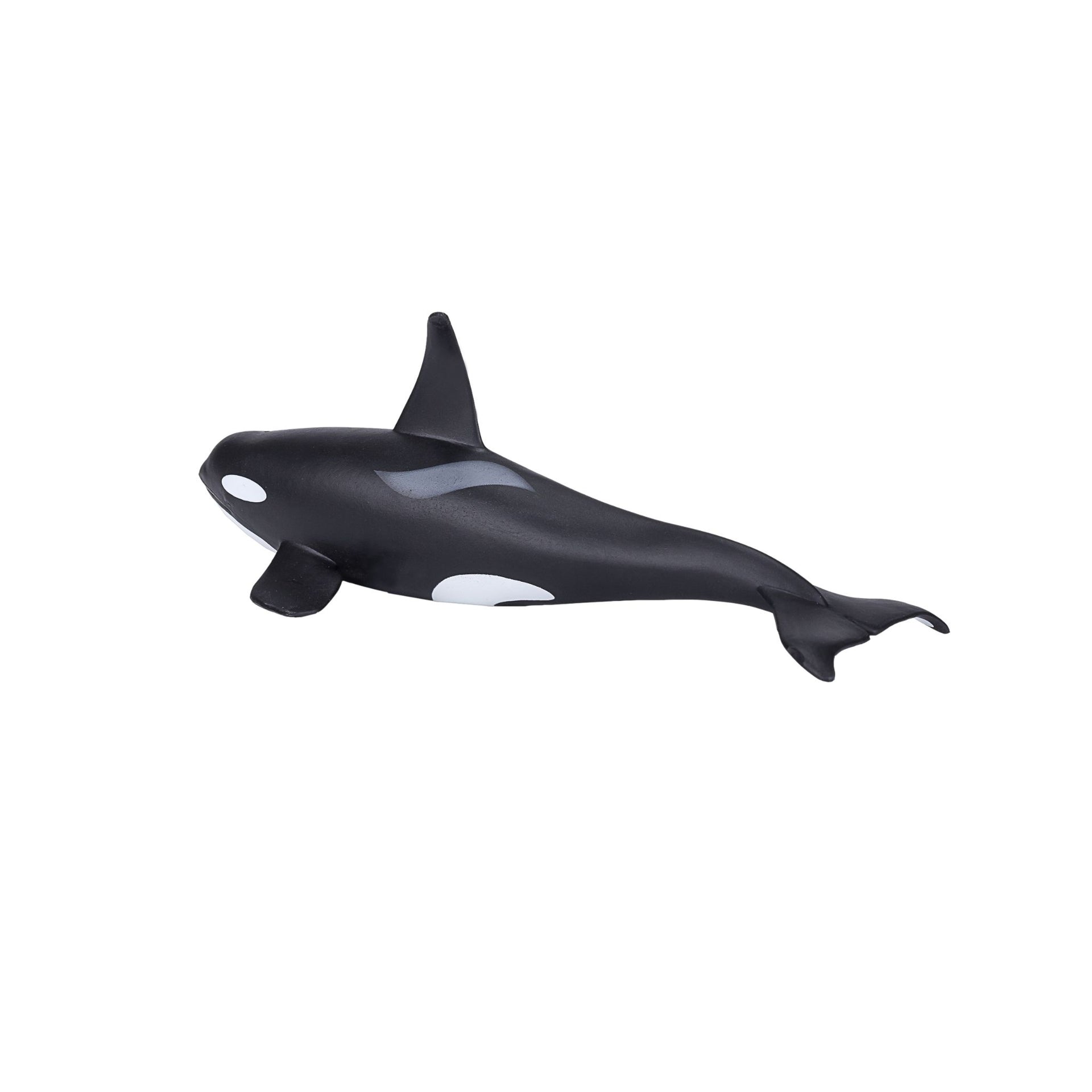 Mojo Male Orca
