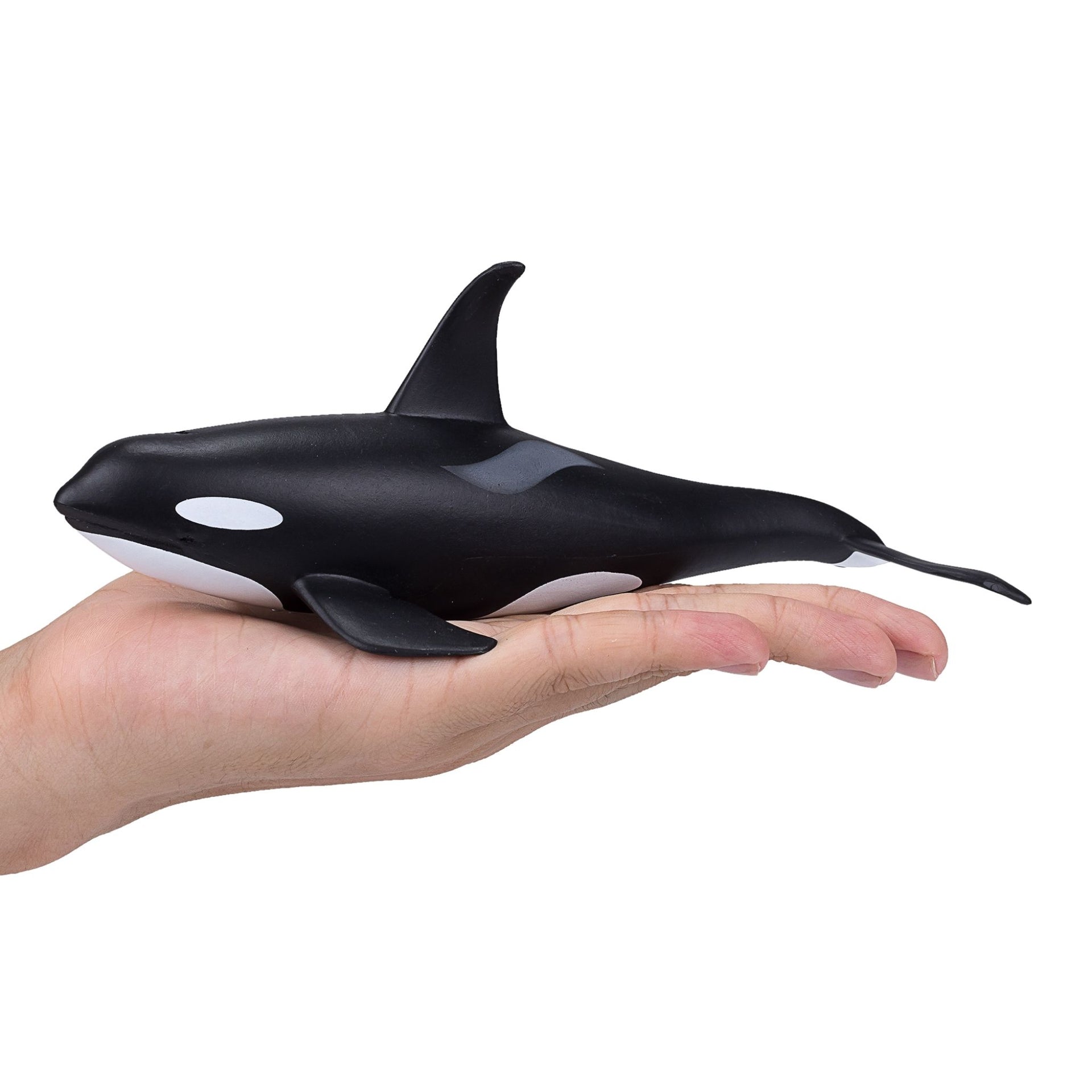 Mojo Male Orca