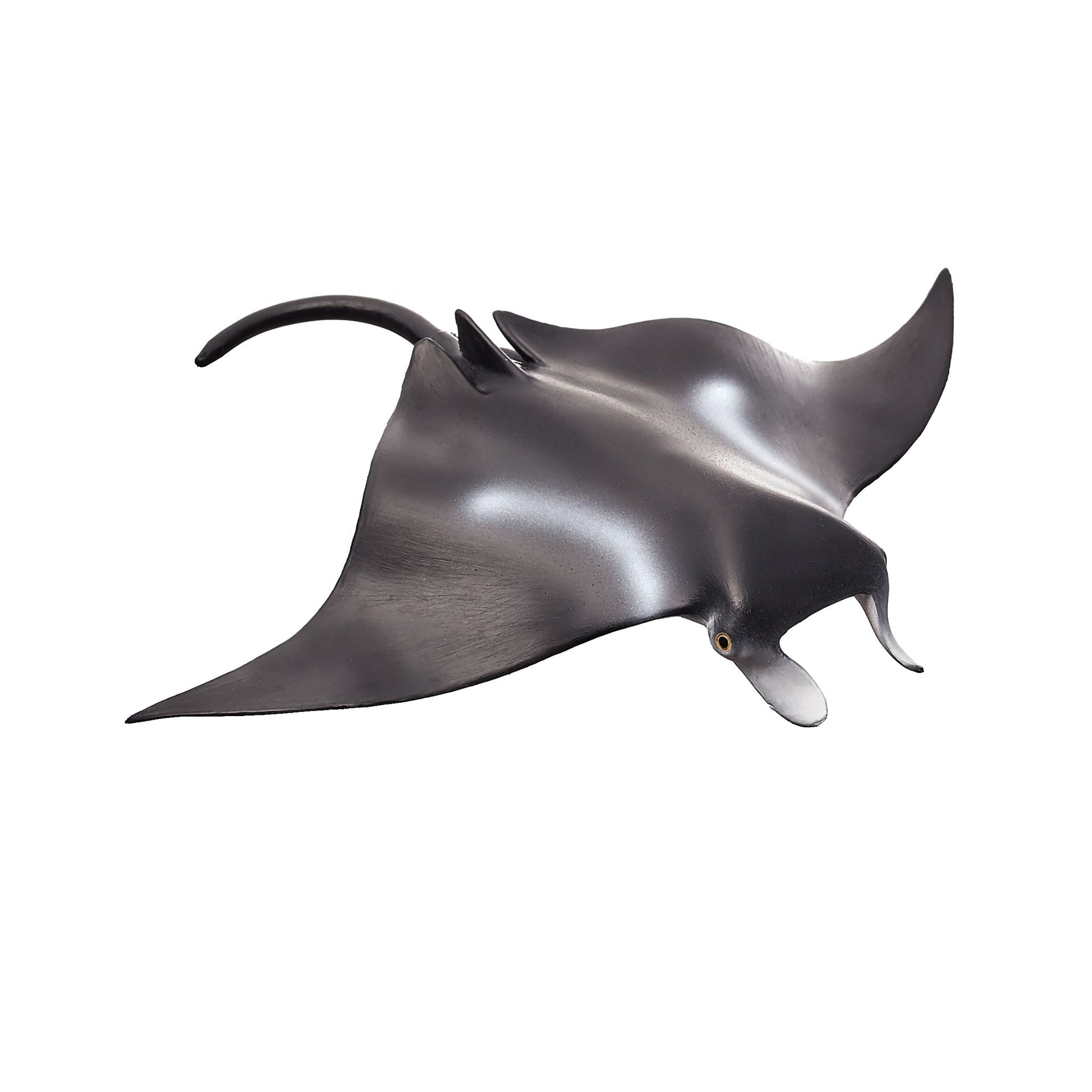 Mojo Manta Ray