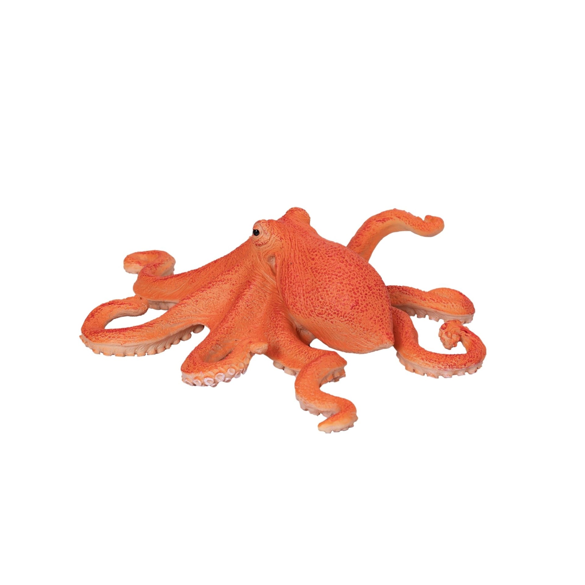 Mojo Octopus