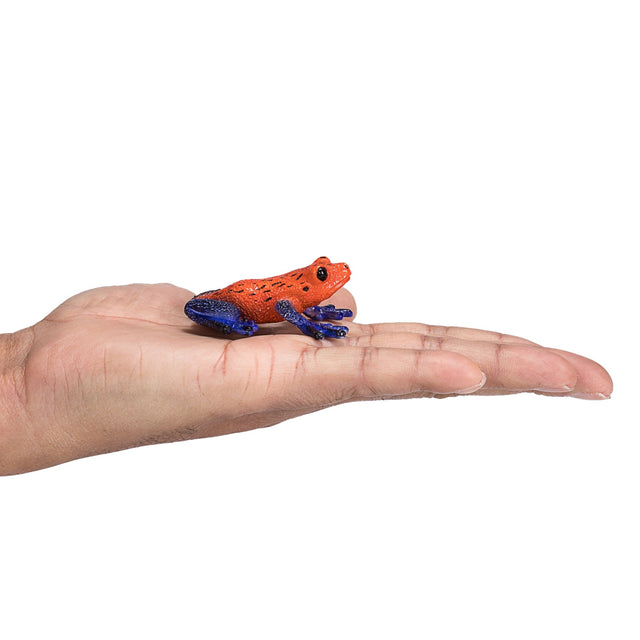 Mojo Poison Dart Tree Frog