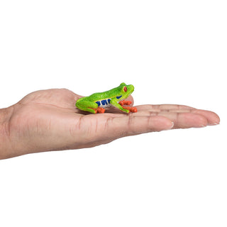Mojo Red Eyed Tree Frog
