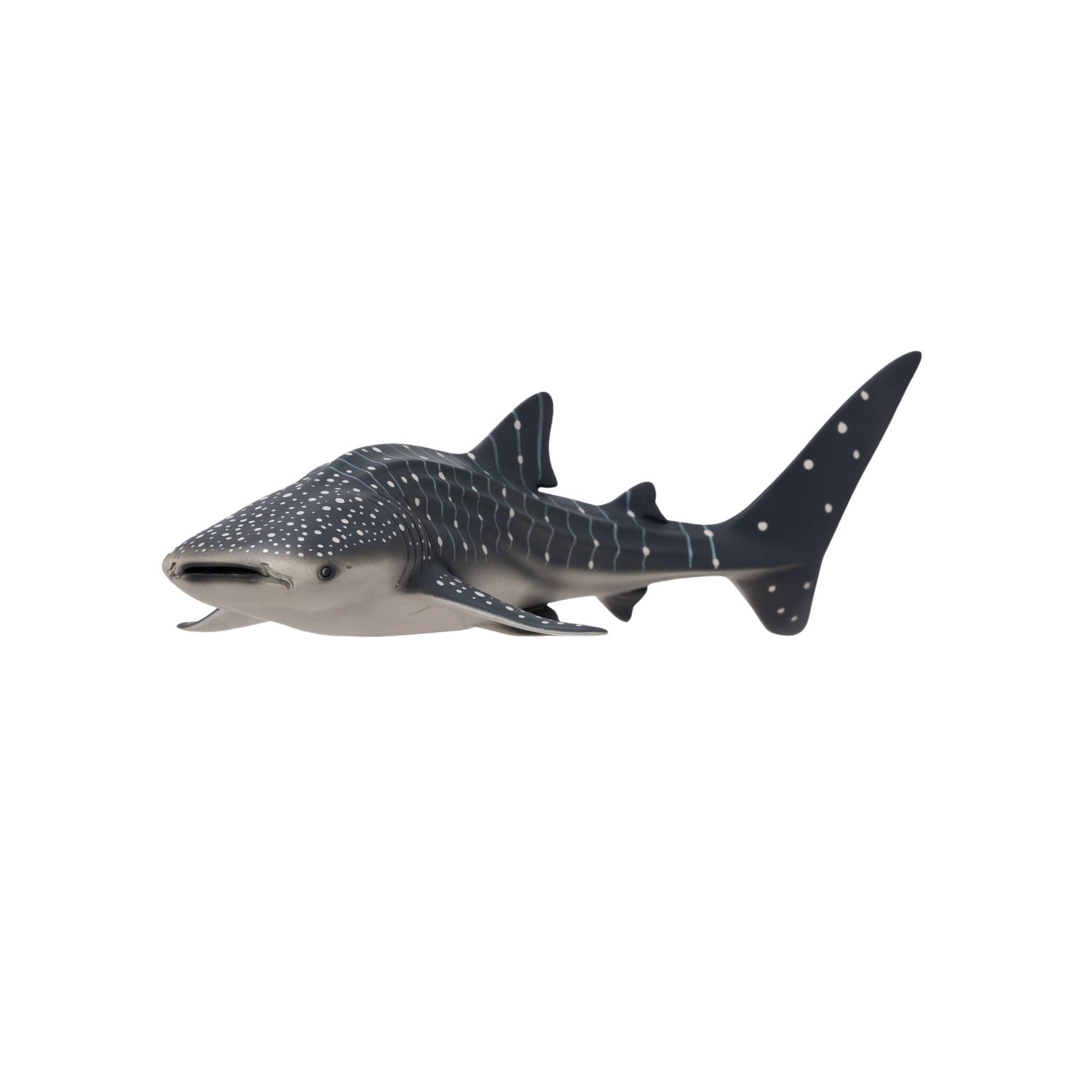 Mojo Whale Shark