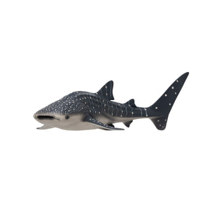 Mojo Whale Shark