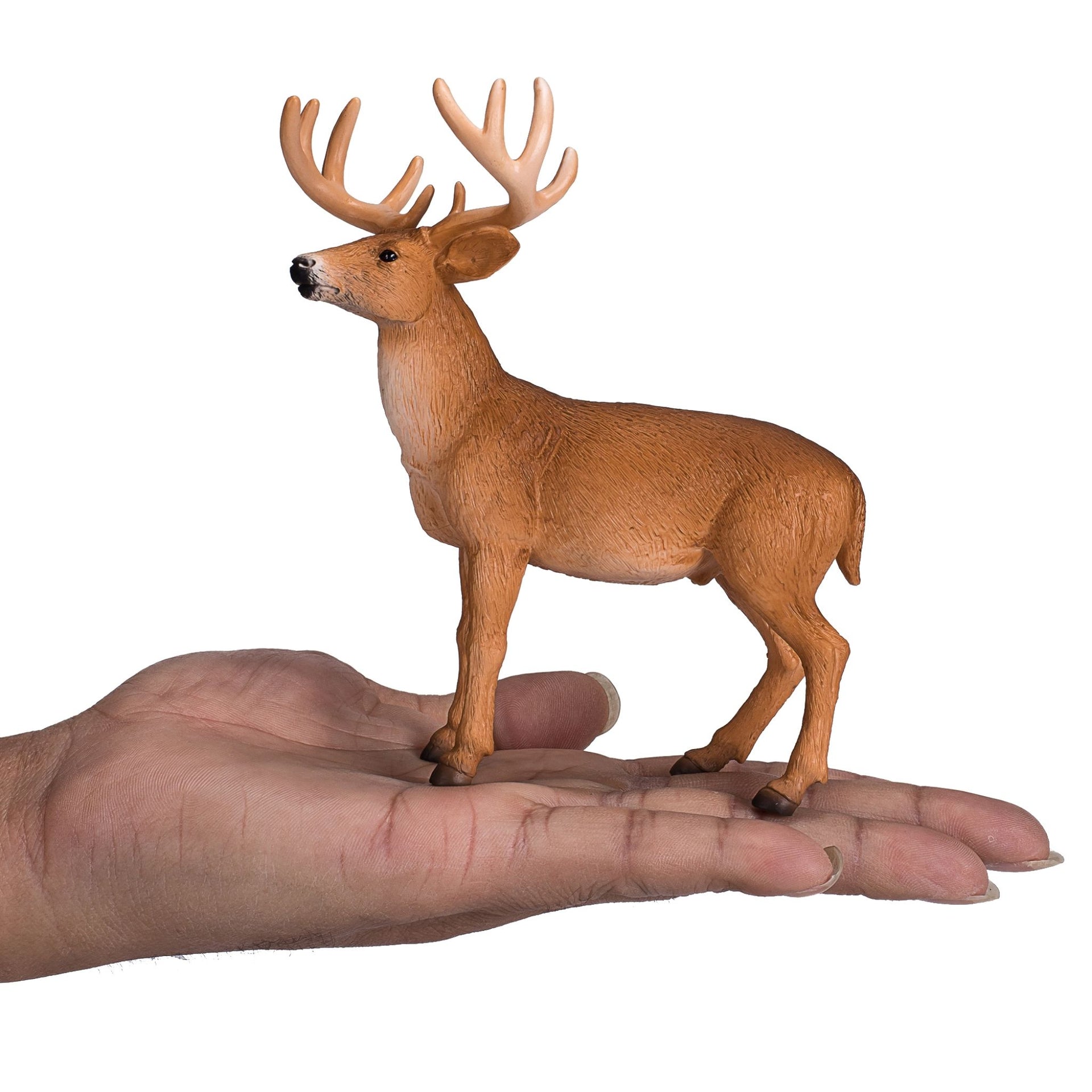 Mojo White Tailed Deer Buck