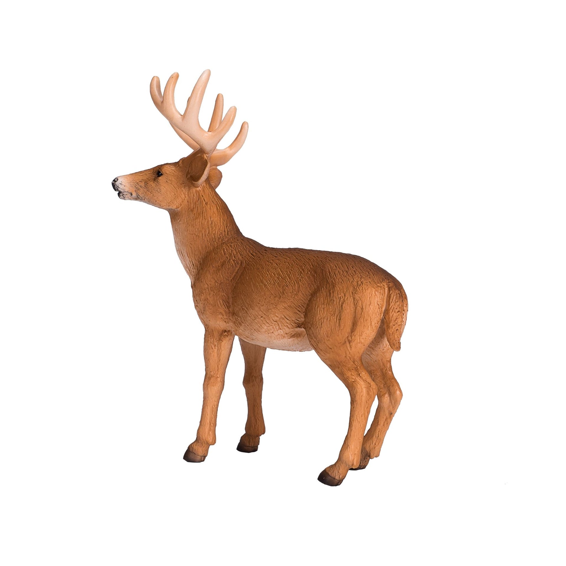 Mojo White Tailed Deer Buck