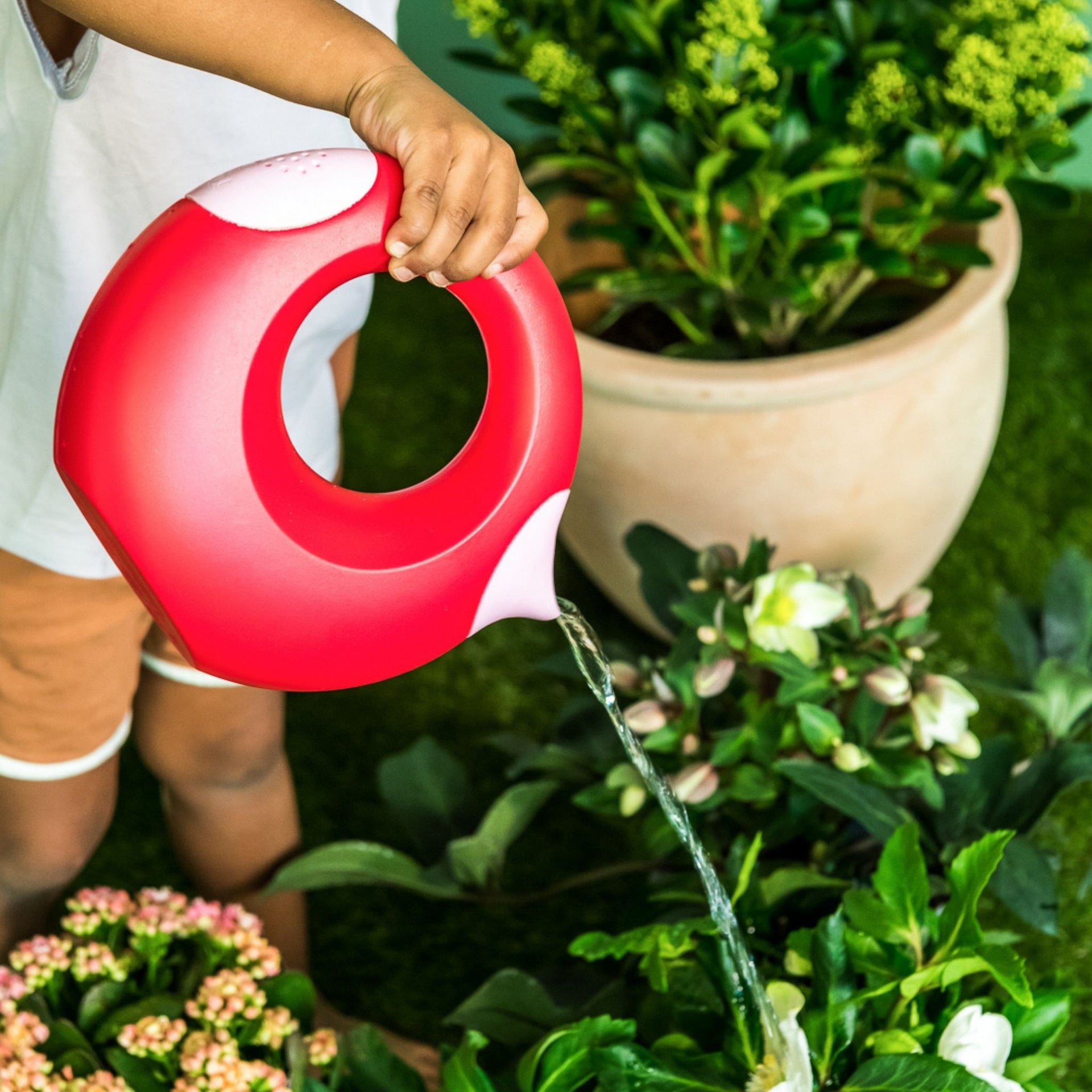 Quut Cana Watering Can Large - Cherry