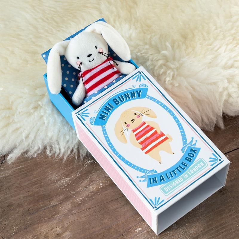Rex London Mini Bunny In A Box