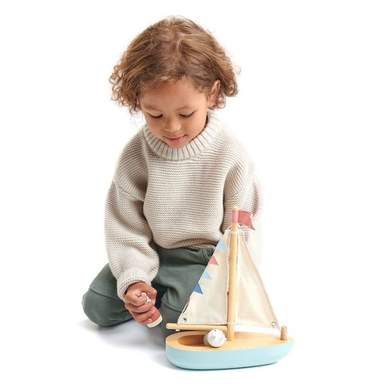 Tender Leaf Sailaway Boat
