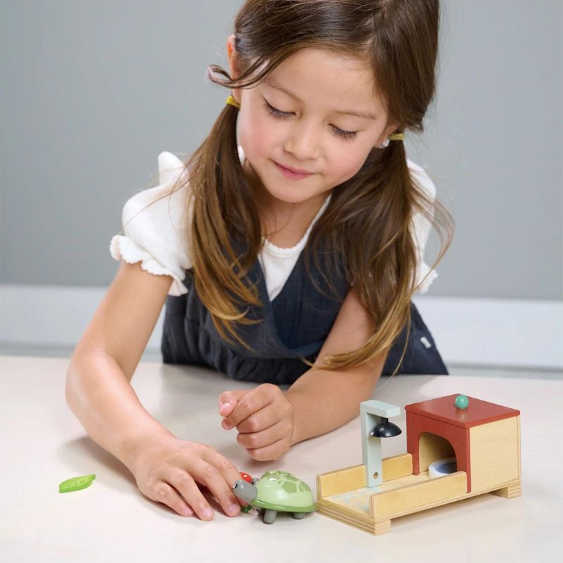 Tender Leaf Pet Tortoise Set