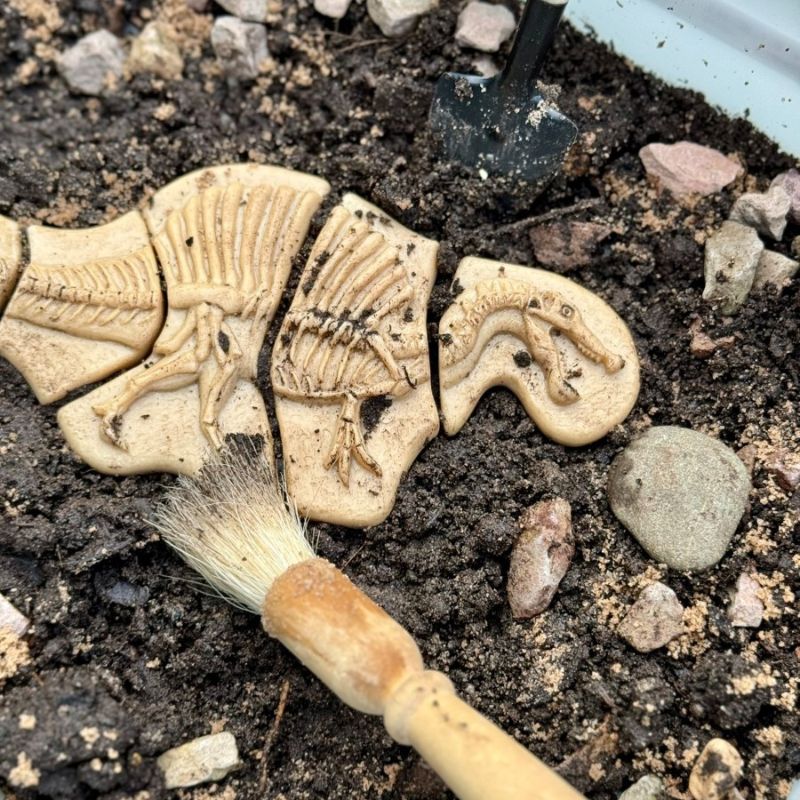 Yellow Door Dig & Discover - Triceratops & Spinosaurus