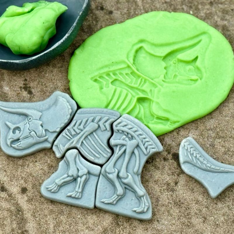 Yellow Door Dig & Discover - Triceratops & Spinosaurus
