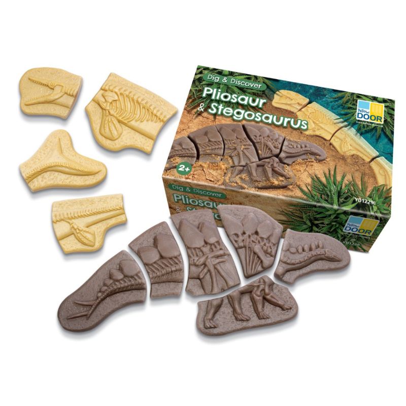 Yellow Door Dig & Discover - Pliosaur & Stegosaurus