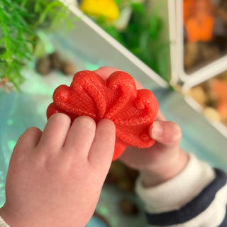 Yellow Door Sensory Play Stones - Ocean Life