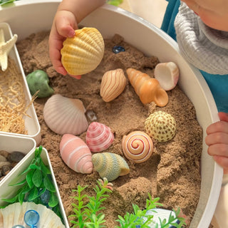 Yellow Door Sensory Play Stones - Seashells