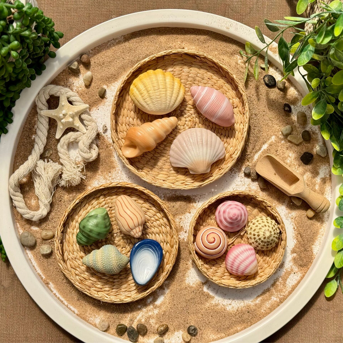 Yellow Door Sensory Play Stones - Seashells