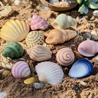 Yellow Door Sensory Play Stones - Seashells